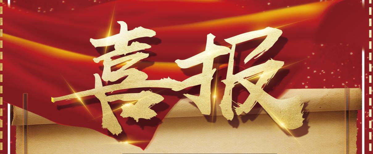 最强大的泛站群程序